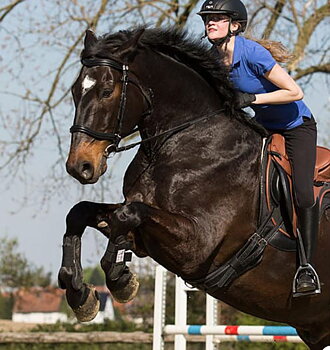 Barefoot 'Nottingham' Saddle, black/tan