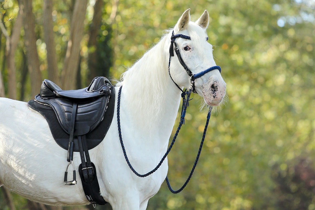 Barefoot Cheyenne (leather saddle), black - 4