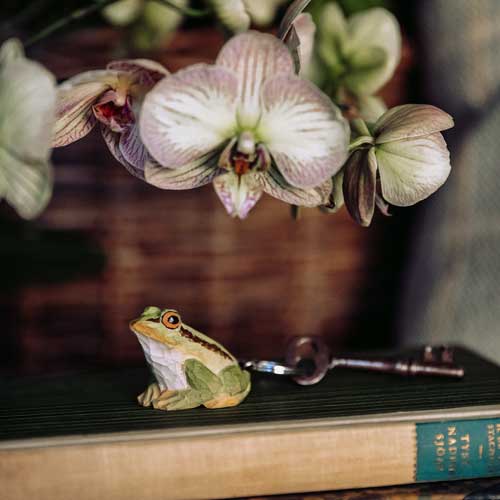 Porte-clés Grenouille