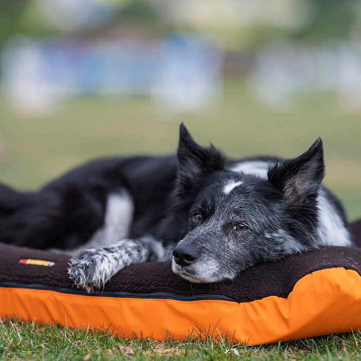 product-image Relaxa™ | Smart comfort for life on the move