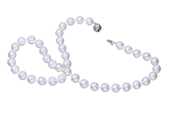 Großes Collier aus Akoya-Perlen mit Weißgoldverschluss 8.5–9 mm