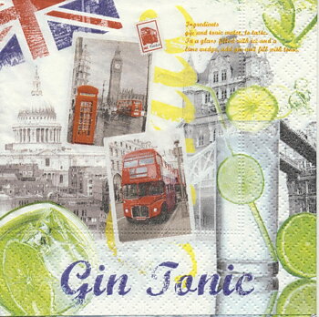 Gin och Tonic