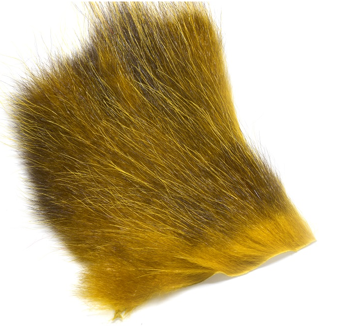 Futurefly American Opossum - 30