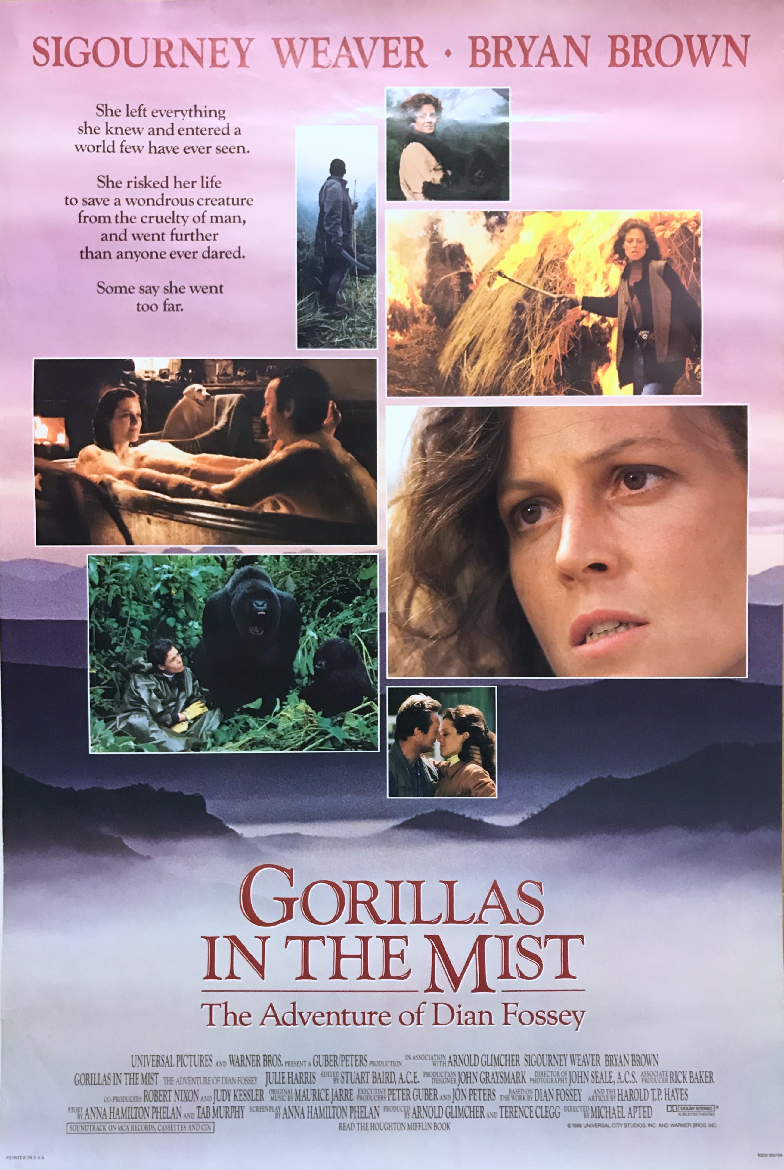 DE DIMHÖLJDA BERGENS GORILLOR (1988)