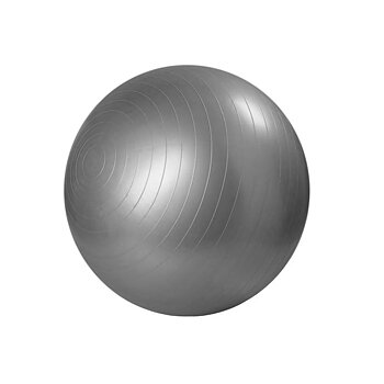 Gymboll, Master, 75 cm, Silver