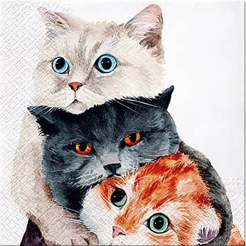 Kattservett