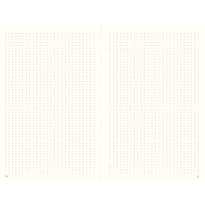 Anteckningsbok DotNotes svart - 5