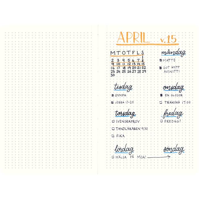 Anteckningsbok DotNotes svart - 3
