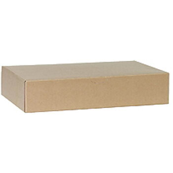 Arkivkartong Posten A4 55mm