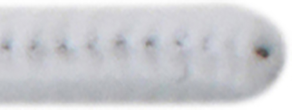 Piprensare 30cm vit 50/fp - 2
