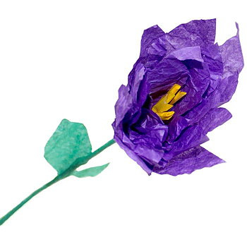 Silkespapper 50x70violet 25/fp