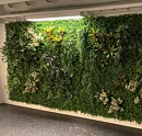 Grass Mix, jardin vertical a medida