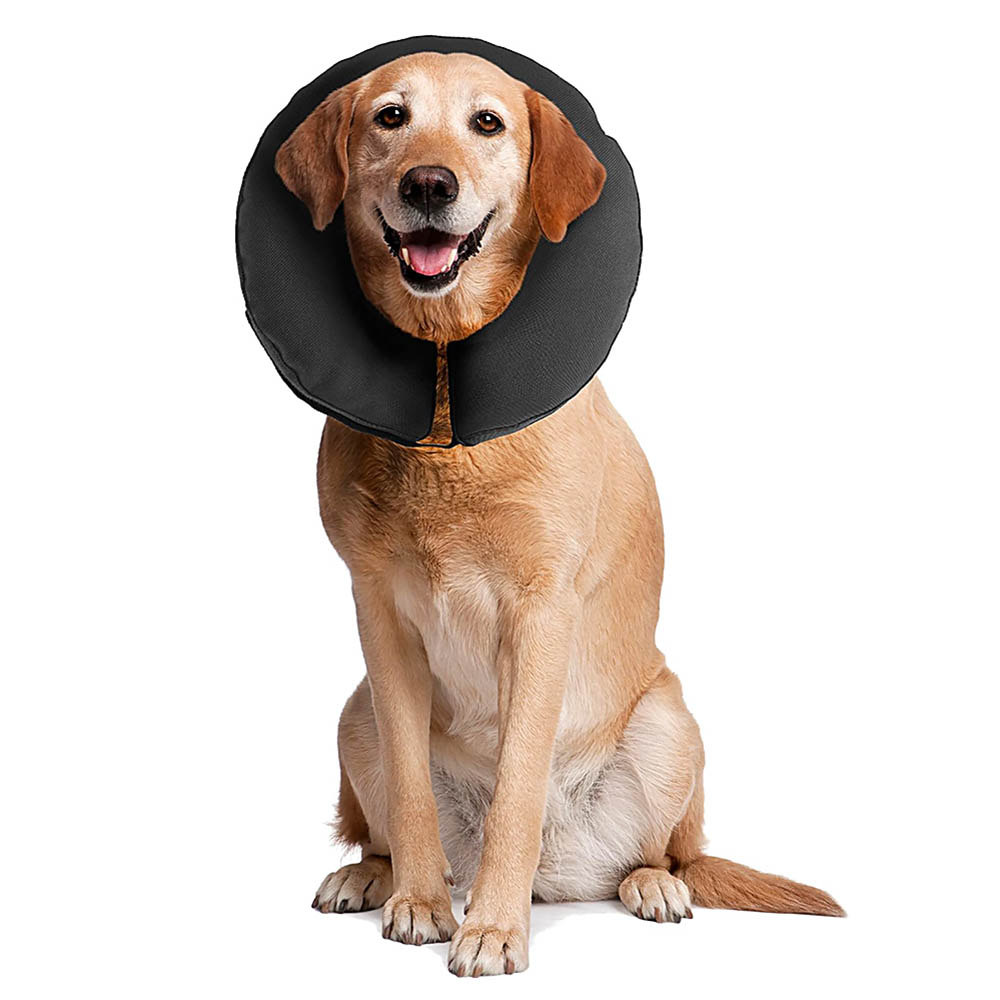 Zenpet Procollar - uppblåsbar krage till hund eller katt - 5