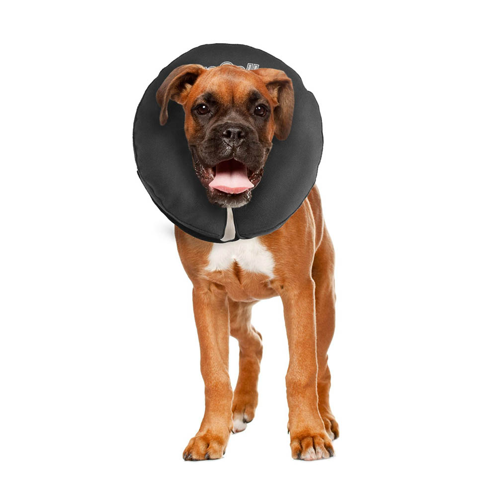 Zenpet Procollar - uppblåsbar krage till hund eller katt - 7
