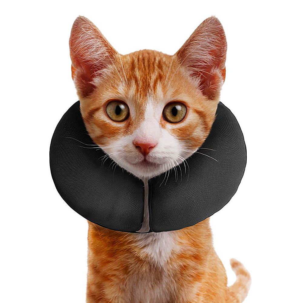 Zenpet Procollar - uppblåsbar krage till hund eller katt - 4