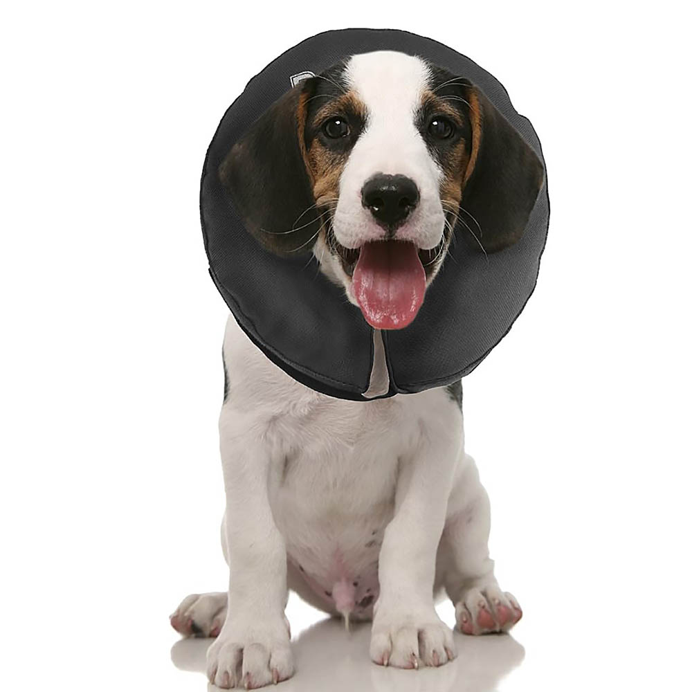 Zenpet Procollar - uppblåsbar krage till hund eller katt - 6