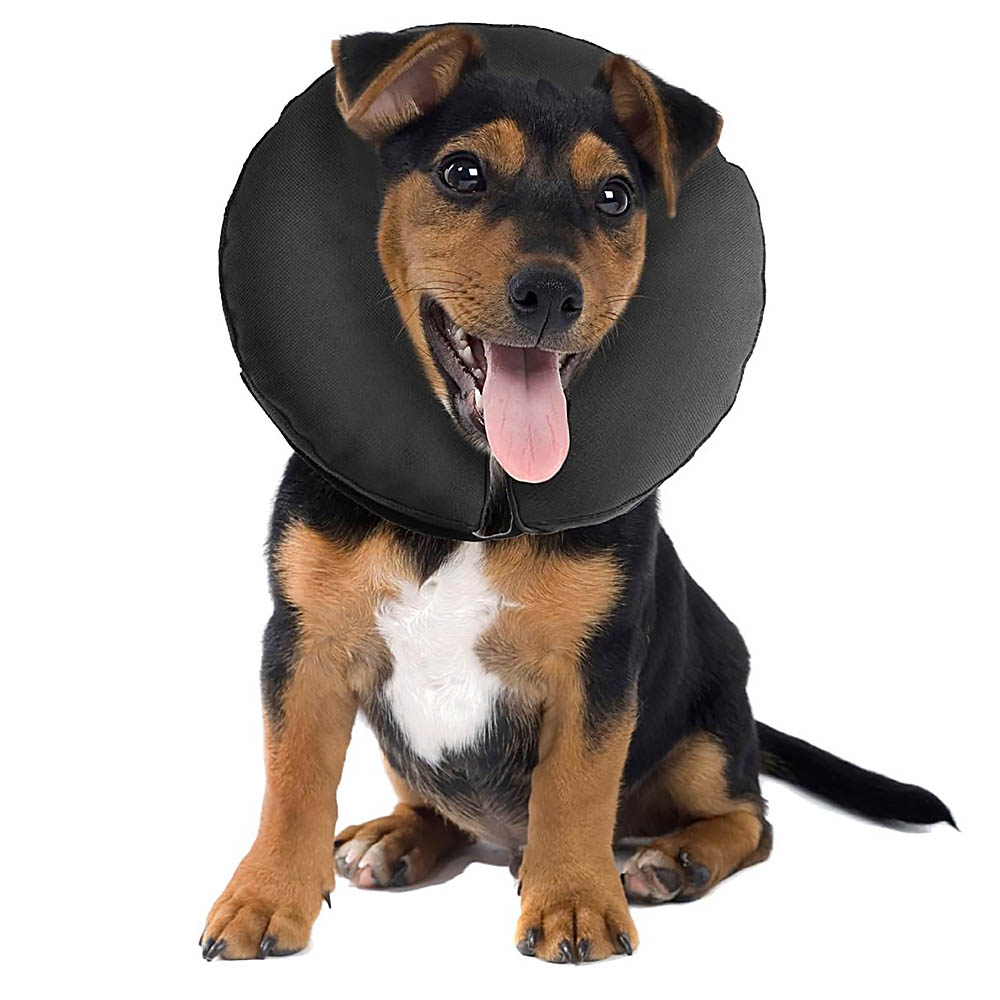 Krage till hund passar både små och stora hundar och även till katt