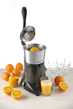 Electric citrus press