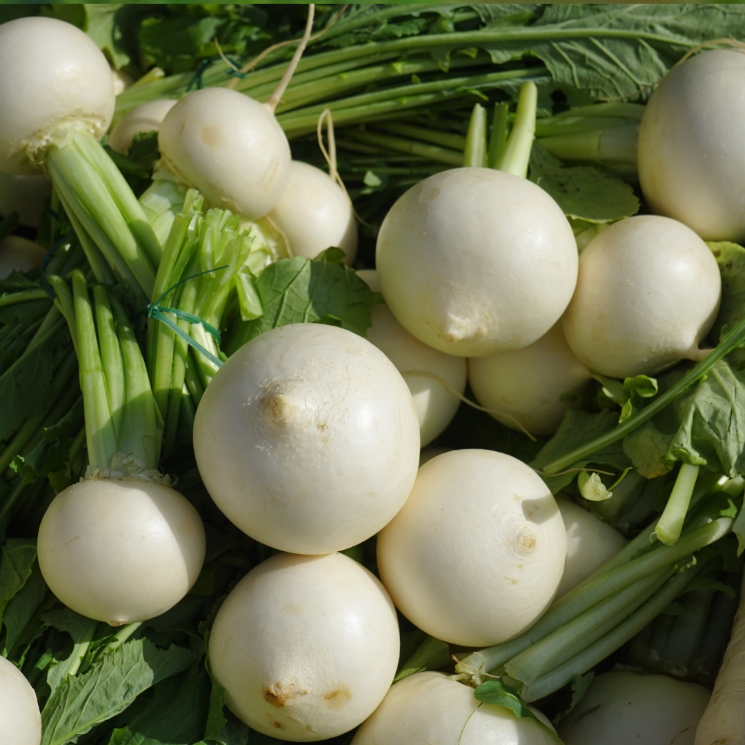 Majrova - Snowball - Kultursort