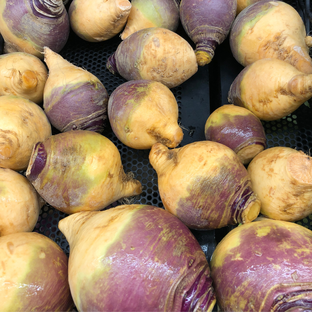 Kålrot - Best of All - Kultursort