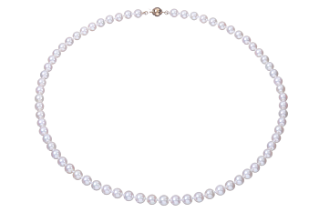 Halskette mit Akoya-Perlen in AAA-Qualität mit Goldverschluss 5.5–6 mm