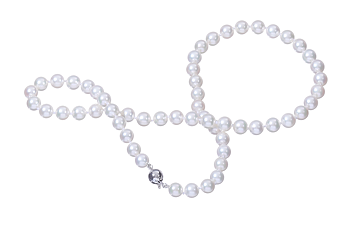 Perlenhalskette-Akoya in AA-Qualität mit Weißgoldverschluss 6.5–7 mm
