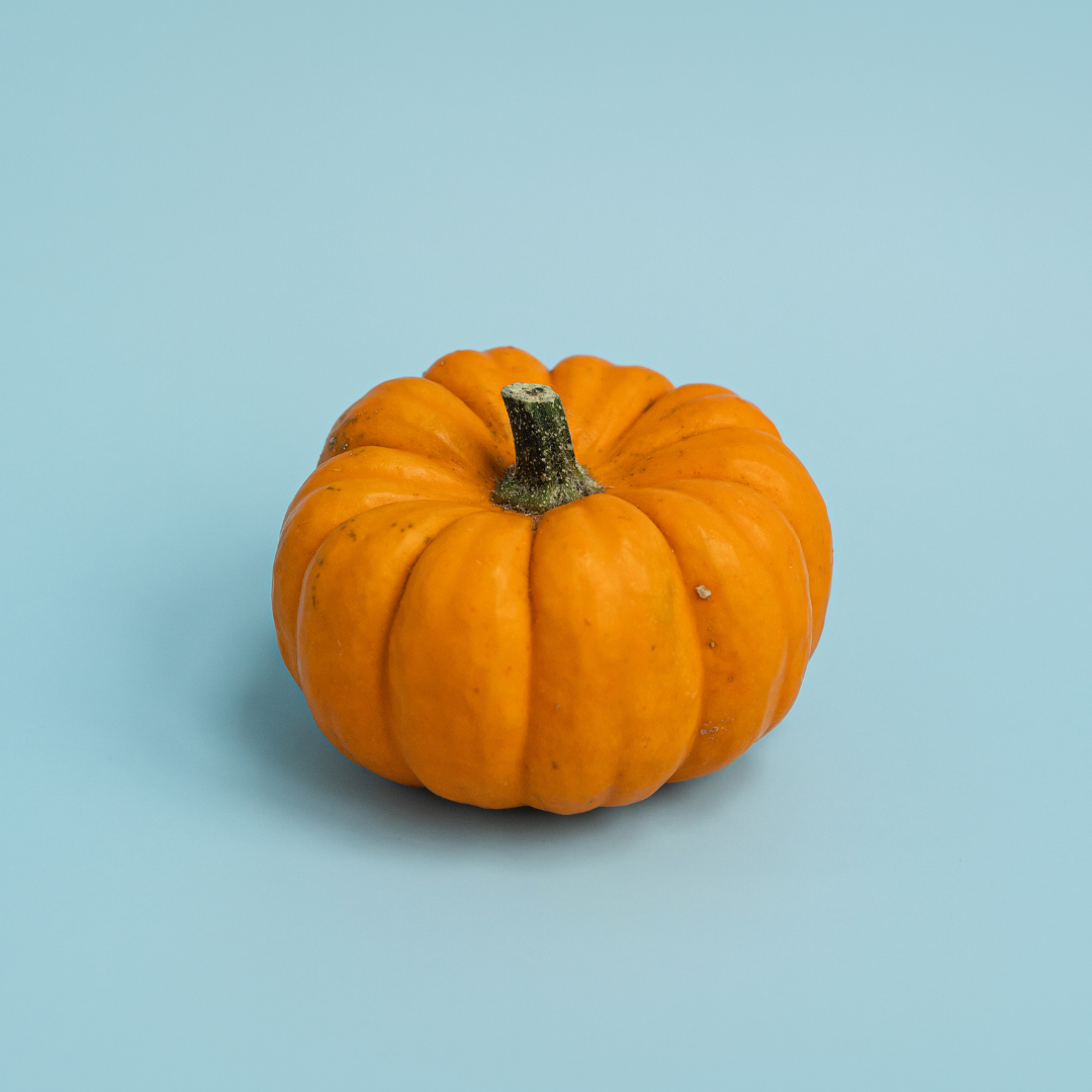 Minipumpa - Jack Be Little