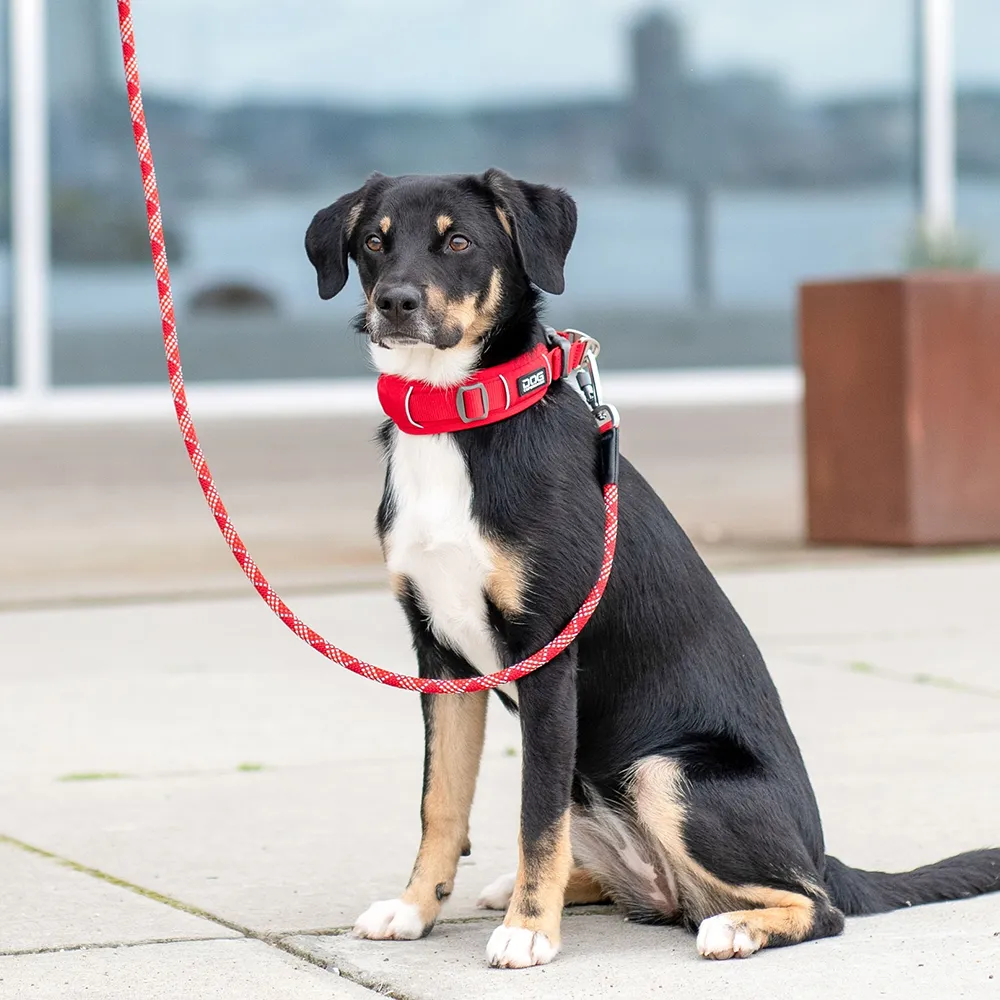 DOG Copenhagen Urban explorer halsband - 5