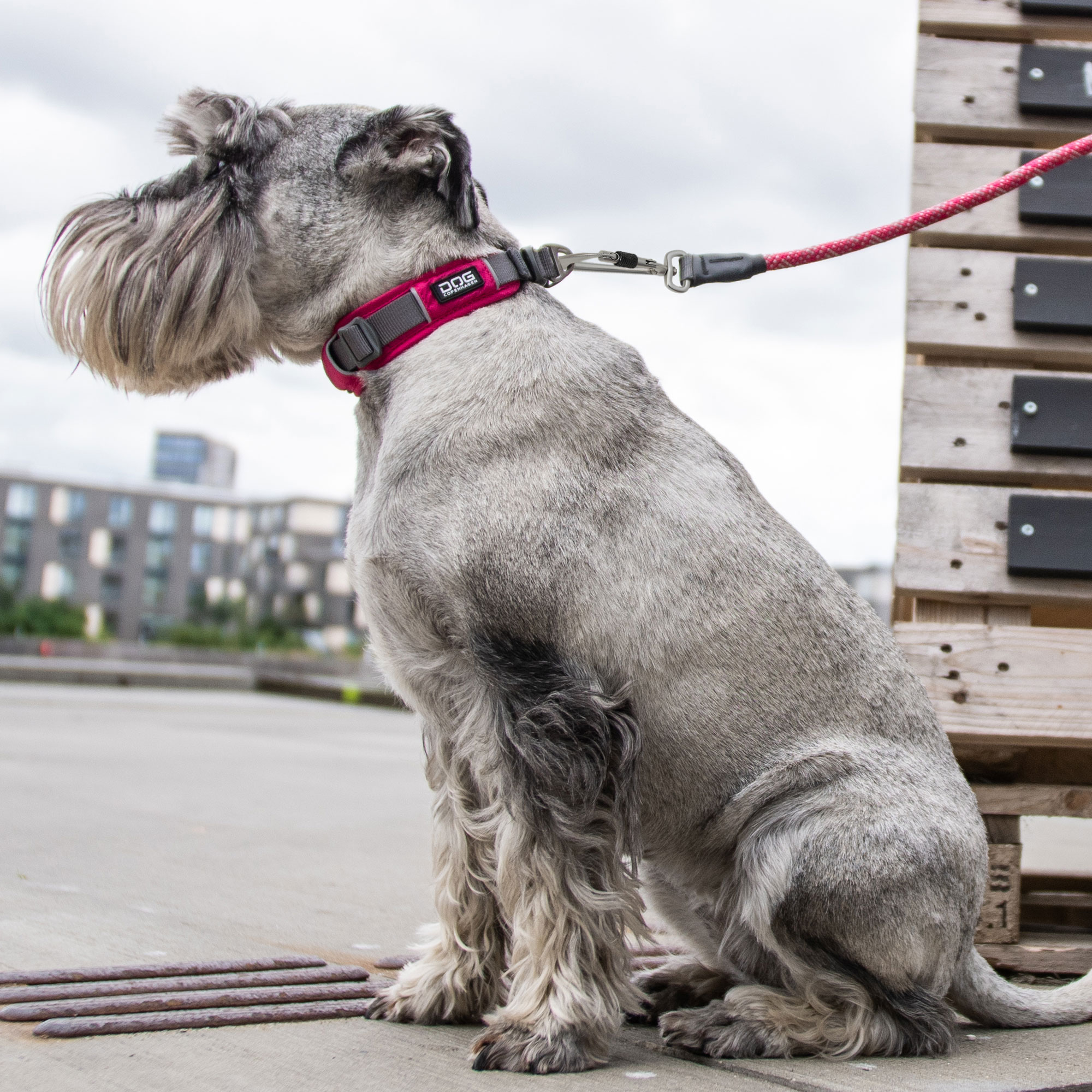 Rosa ergonomiskt och mjukt hund halsband från DOG Copenhagen