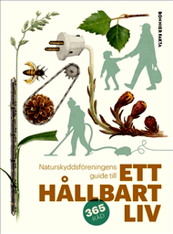(SE)
