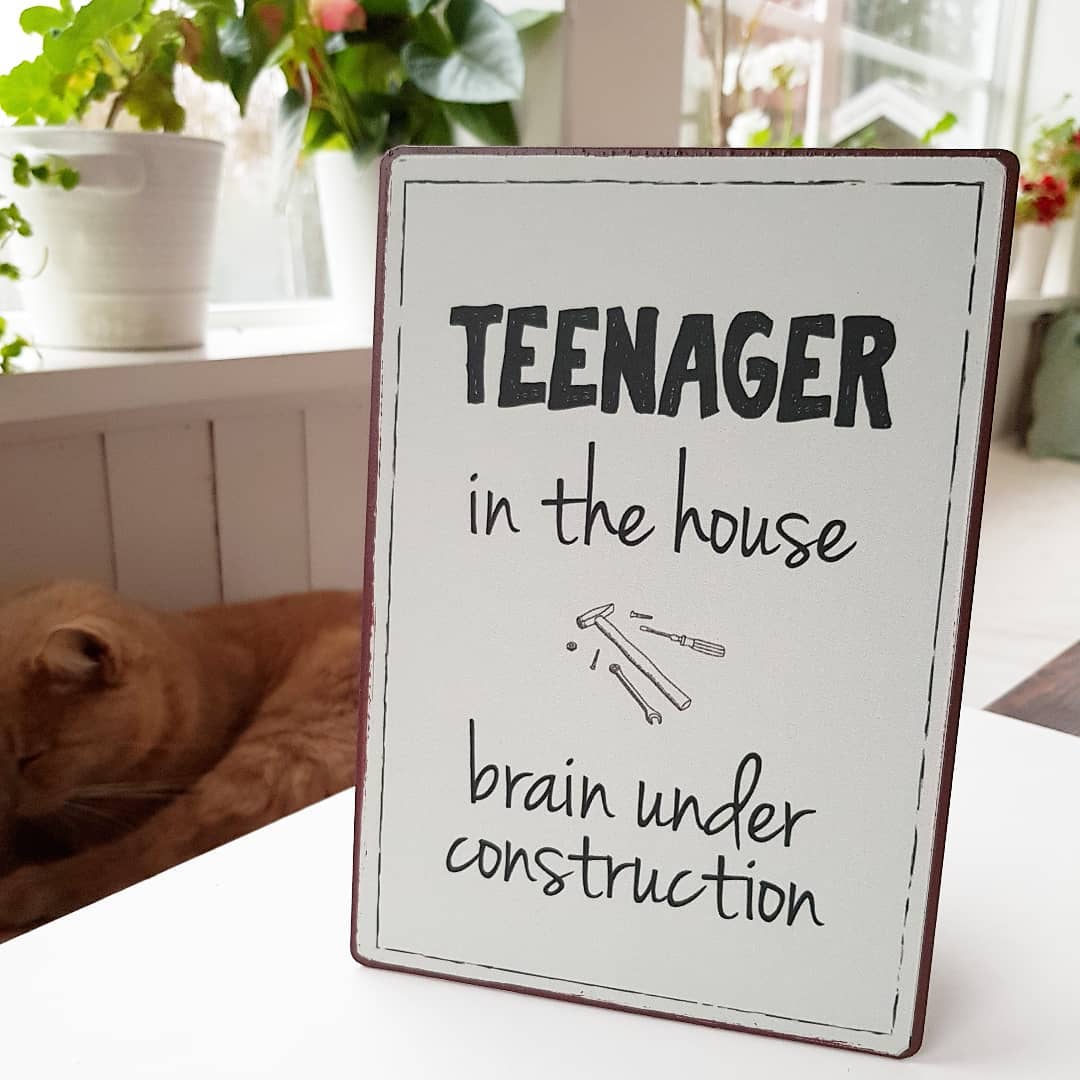 Skylt " TEENAGER in the house .."