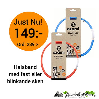 Halsband Flash Warrior Led  65cm