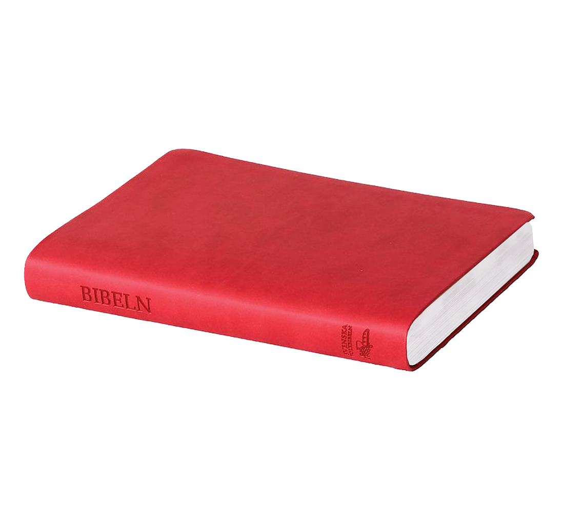 Svenska Folkbibeln 2015 Slimline, rosa skinnimitation