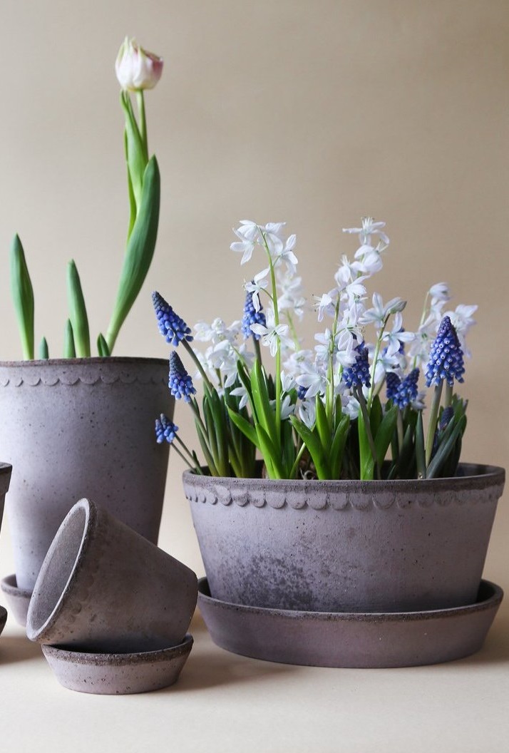 POT WITH SAUCER HELENA LOW GREY - BERGS POTTER