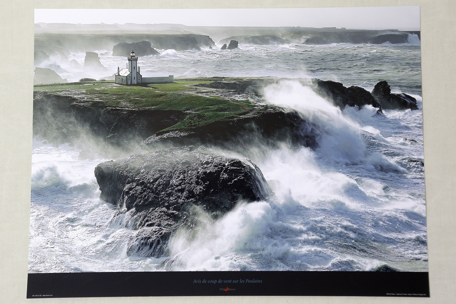 Blast of Wind Plate