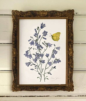 ART PRINT BELLFLOWERS  30x40