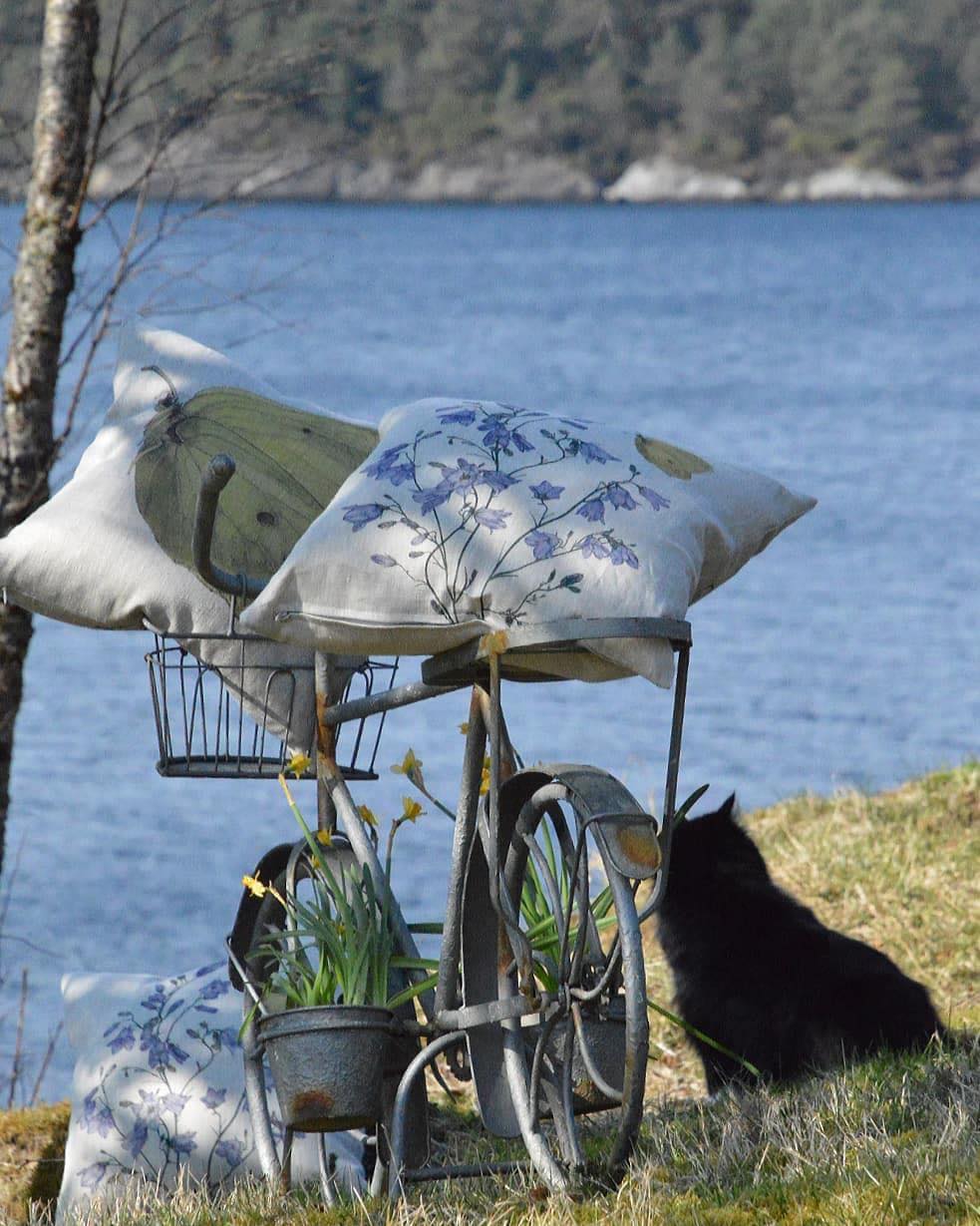 PUTE BLÅKLOKKER/SITRONSOMMERFUGL - 15
