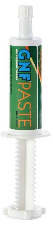 GNF PASTE - 2