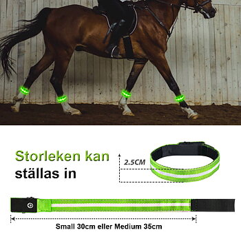 LED Benljus
