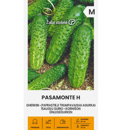 Pasamonte H