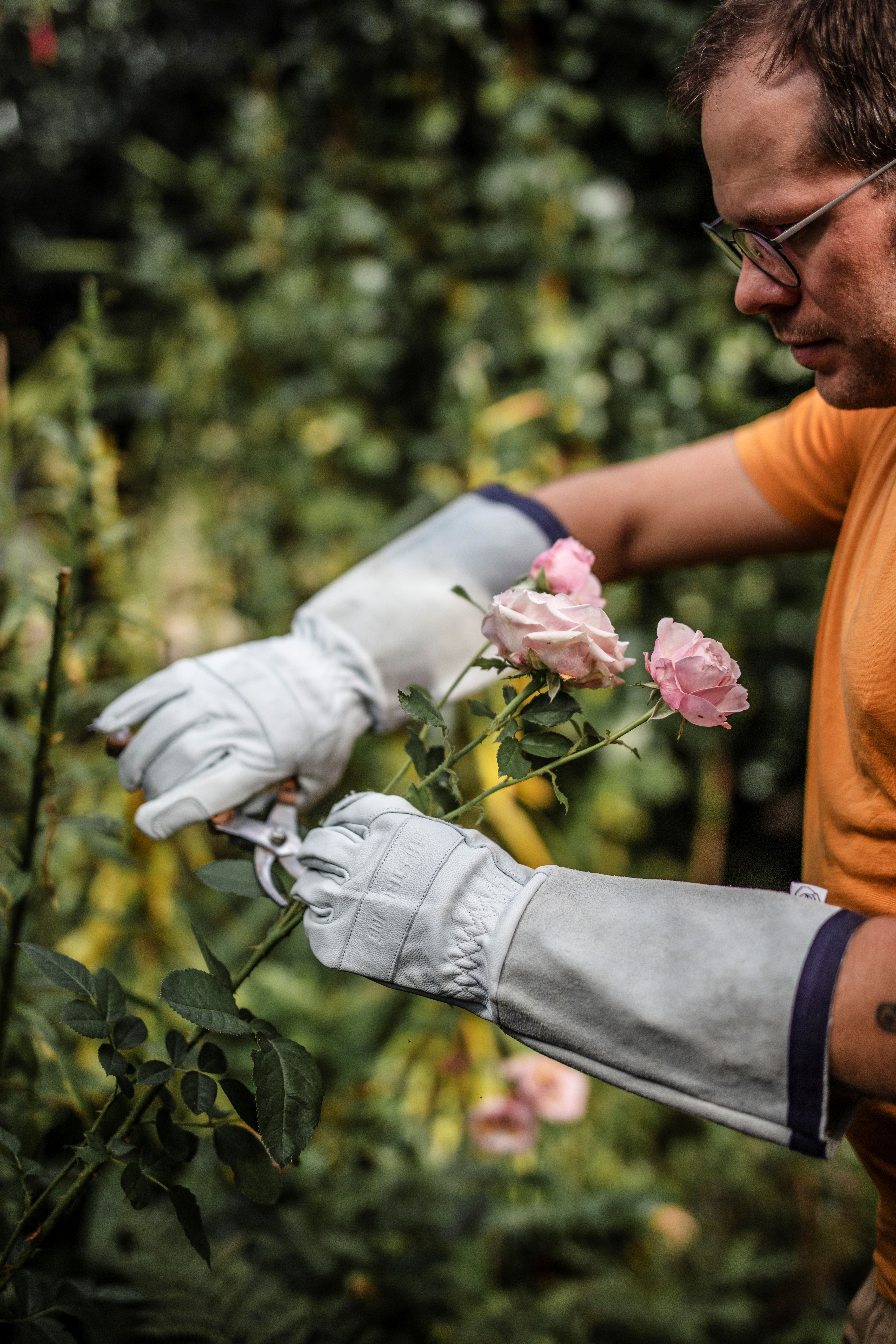 Hestra Garden Glove - White -Garden rose glove - 8