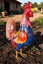 Julia - hen