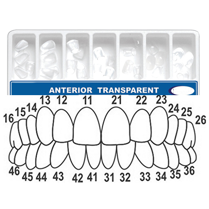 Transparent Crowns 12/22 Large, 1x10 pcs