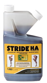 Stride HA 1,183 L