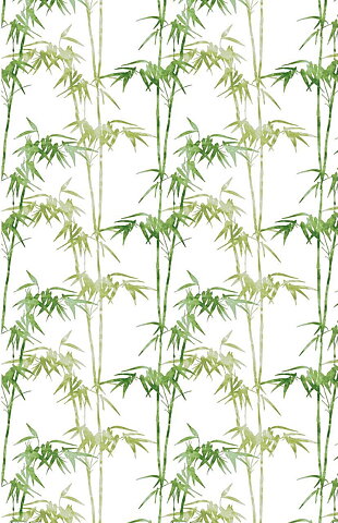 Bamboo