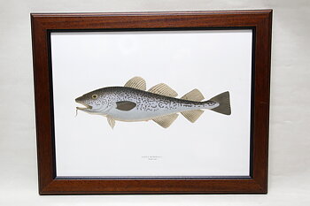 Plate Fish 36x46 cm