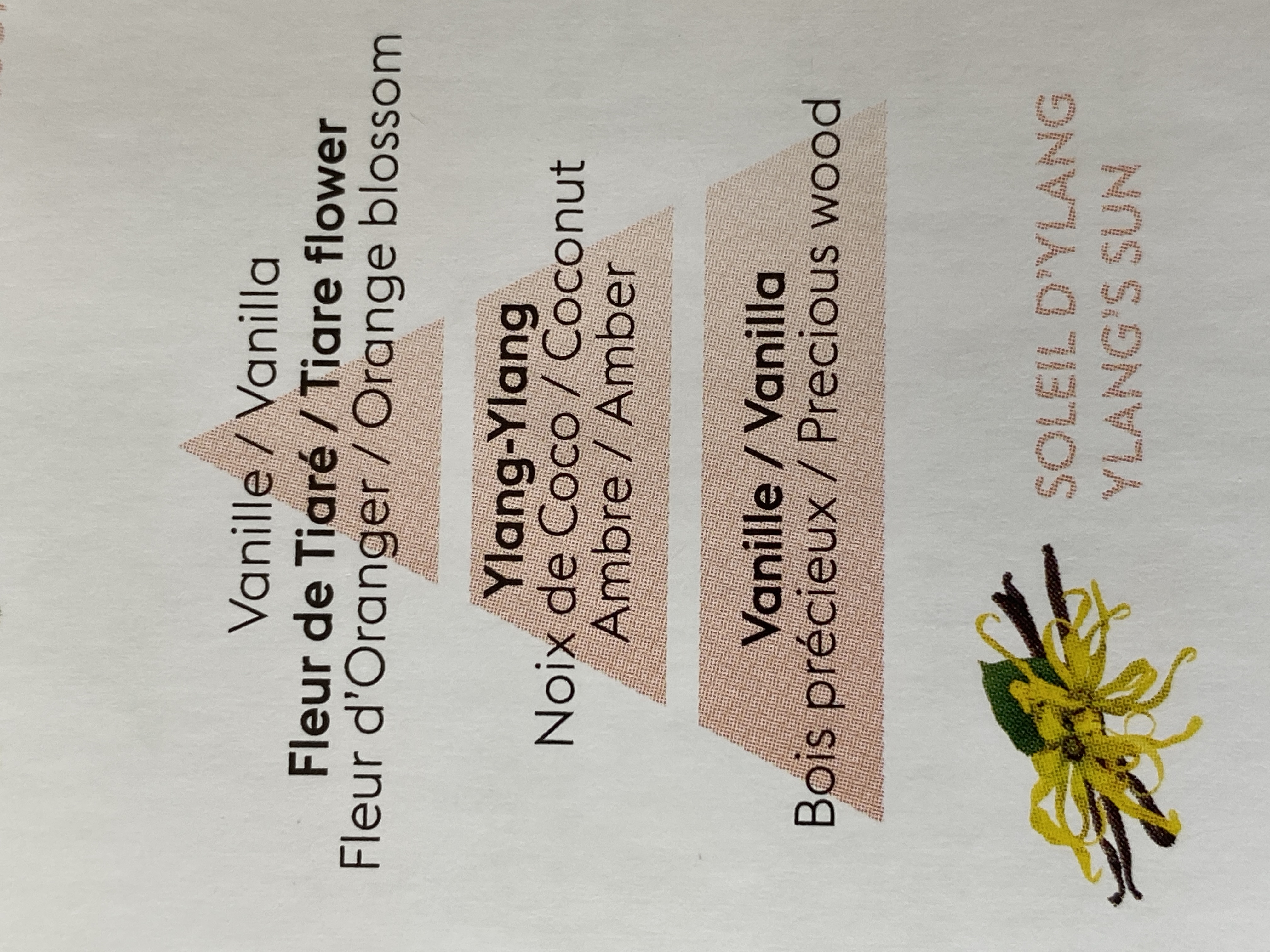 Ylang  Sun  - 2