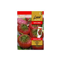 Tomat Noire de Creme  Lucia Elite
