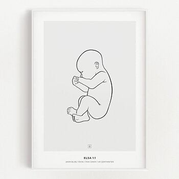 Elsa 1:1 scale birth poster