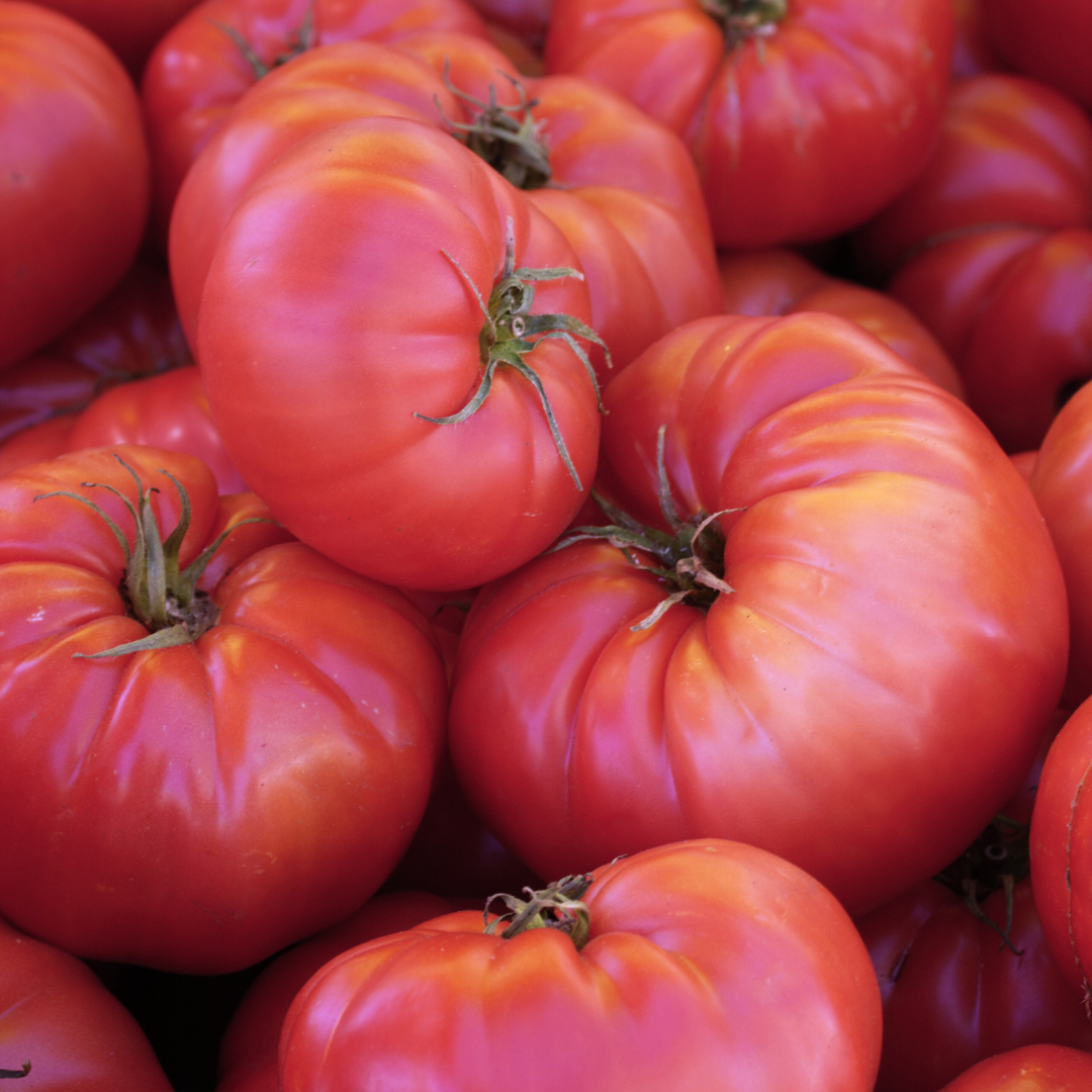 Bifftomat - Brandywine Pink